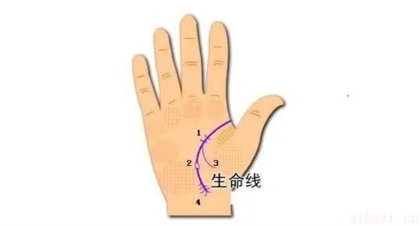如何看生命线才是正确的 看生命线分男左女右吗