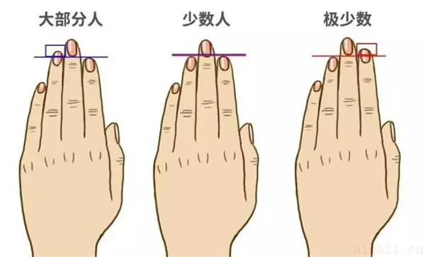 食指和无名指长短的意义 食指比无名指长代表什么