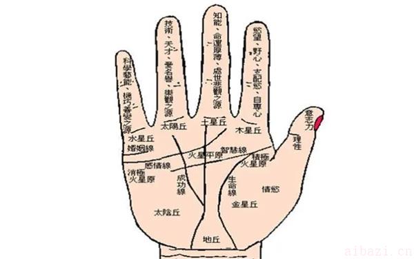 男人手相详细分析 男人的手相该怎么看