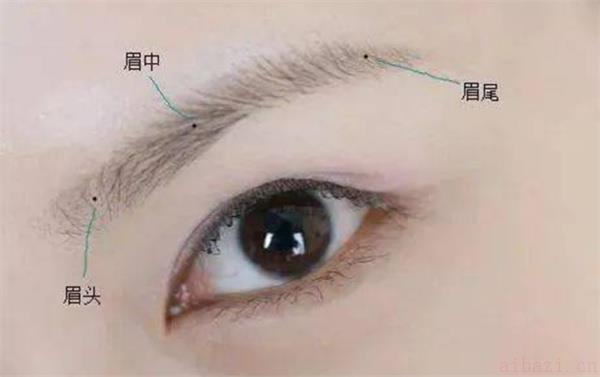 浅谈眉毛看一个人的人品性格 眉毛推测一个人的人品性格