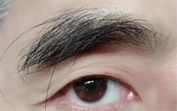 眉毛淡的男生面相性格 男生眉毛淡是什么意思