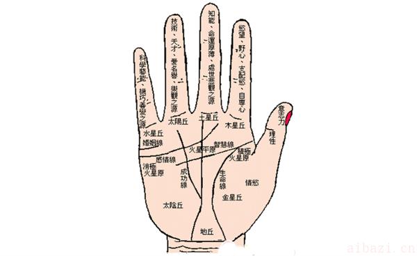 看手相算命是男左女右吗 手相算命该如何看