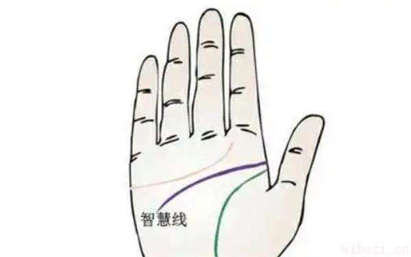 手相智慧线的特征是什么 教你如何看手相智慧线
