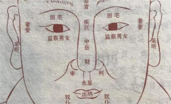 相法上识别性取向的方法 中国传统相法中关于性取向是如何判断的