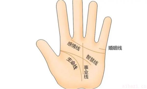 断掌男人的综合运势 断掌男克父母和老婆吗