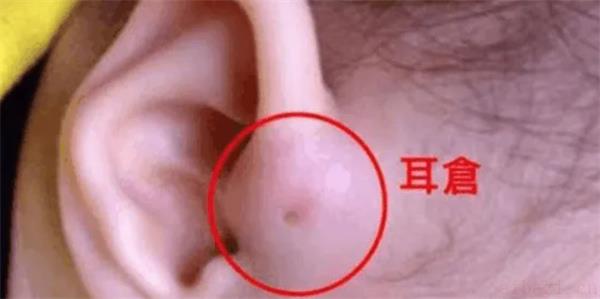 耳朵看小孩是否聪明详解 耳朵怎么看小孩是否聪明
