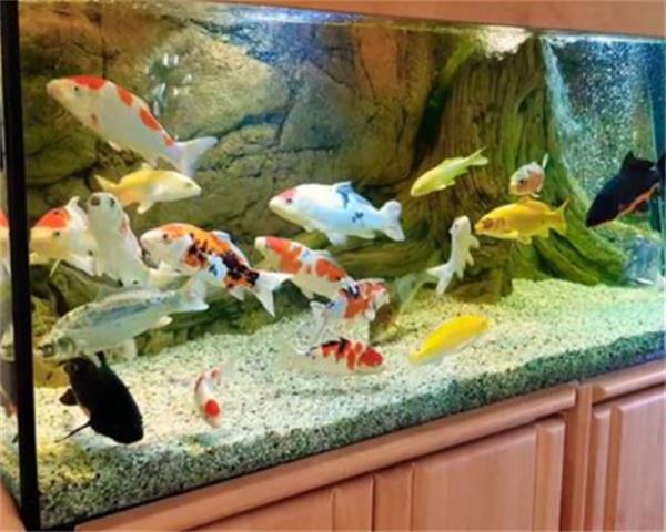 卧室里不能放的几样东西 睡觉的卧室不能放哪些物品