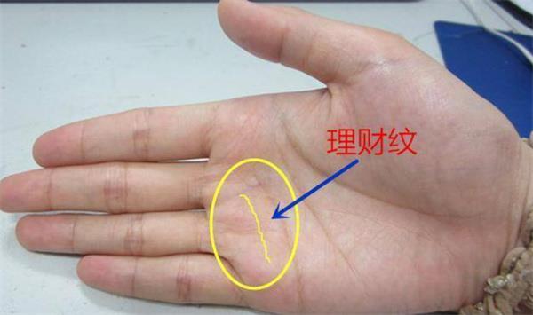 适合走仕途的手相特征概述 适合走仕途的手相有什么特征
