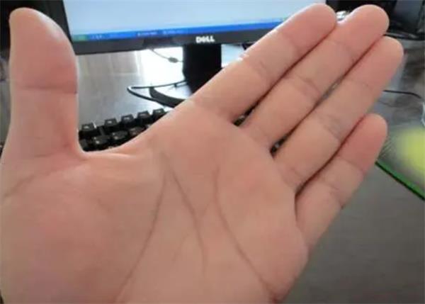 人字掌的含义 人字掌代表什么