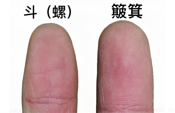 十个螺纹有什么样的含义 十个螺纹是什么意思