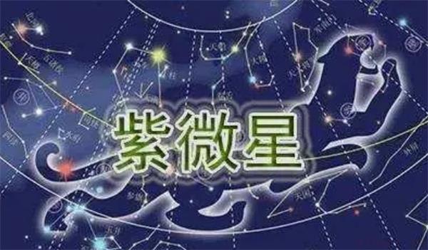 紫微星座的相关资料 紫微星座是什么意思