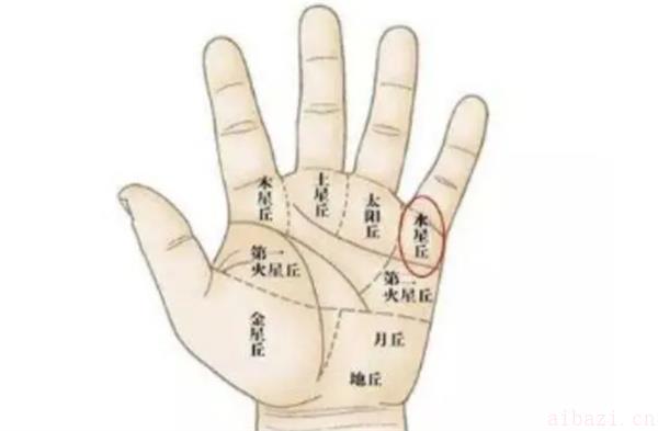 解读易成为有钱人的男人手相 易成为有钱人的男人手相是怎样的