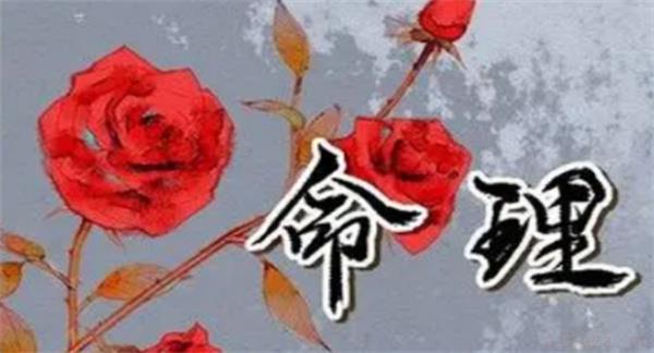 深度剖析丙寅日柱性格命运 丙寅日柱的人性格怎么样