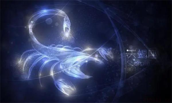 什么星座聪明到可怕