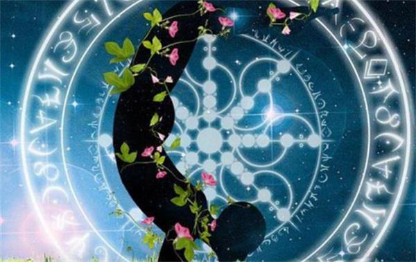 什么星座聪明到可怕